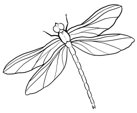 Dragonfly Drawing, Zentangle Flowers, Drawings, Flowers