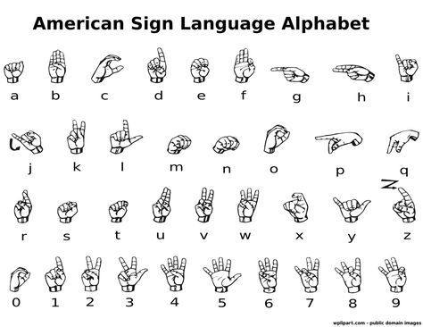 ASL alphabet label Canadian Sign Language, Classroom Hand Signals, Sign Language Letters, Asl Alphabet, Sign Language Chart, A To Z Alphabet, Sign Language Lessons, Sign Language Phrases, Z Alphabet