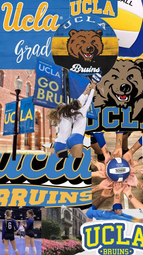 Ucla Wallpaper Aesthetic, Ucla Wallpaper, Academia Barbie, Ucla Campus, College Wallpaper, College Vision Board, Dream Collage, College Motivation, College List