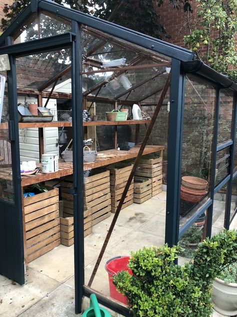 There is more space than before due to all the under staging storage. What I spent money on; Aluminium Greenhouse Makeover, Greenhouse Staging Ideas, Greenhouse Storage Ideas, Greenhouse Makeover, Angled House, Greenhouse Goals, Framed Greenhouse, Greenhouse Storage, Allotment Inspiration