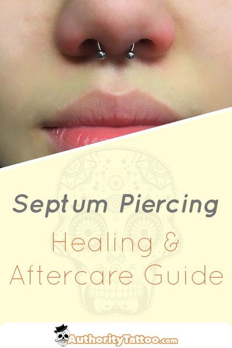 We explain every little detail about the septum piercing healing process, including everything you need to know for your septum to heal perfectly. Small Septum Piercing, Septum Piercing Men, Piercing Healing, Spiderbite Piercings, Orr Piercing, Double Tongue Piercing, Septum Piercing Jewelry, Double Cartilage Piercing, Healing Thoughts