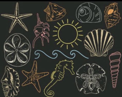 Gh Beach Clip Art, Summer Chalkboard Art, Seashell Clipart, Summer Chalkboard, Chalkboard Wall Art, Chalkboard Doodles, Chalk Design, Chalkboard Drawings, Sidewalk Chalk Art