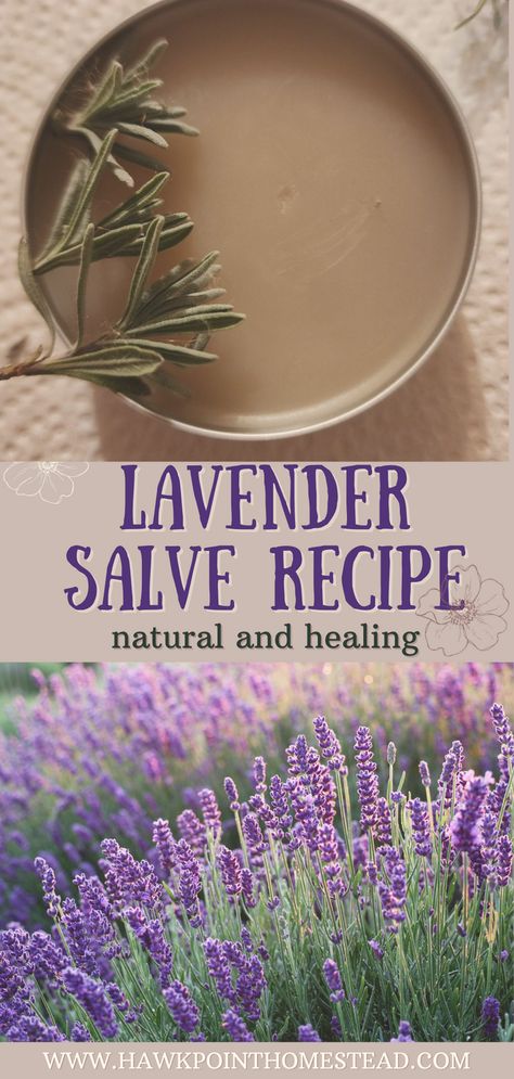 Lavender Salve Recipe, Mint Salve Recipe, Red Clover Salve, Lavender Tincture, Homemade Lavender Oil, Herbalist Garden, Diy Salve, Apothecary Recipes, Lavender Salve