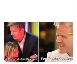 Gordon Ramsay "oh dear oh gorgeous" / "you fucking donkey" meme template Gorden Ramsey, Gordon Ramsay Funny, Gordon Ramsay, Meme Template, Wallpaper Ideas, Follow For More, Royalty, Funny Memes, Royalty Free