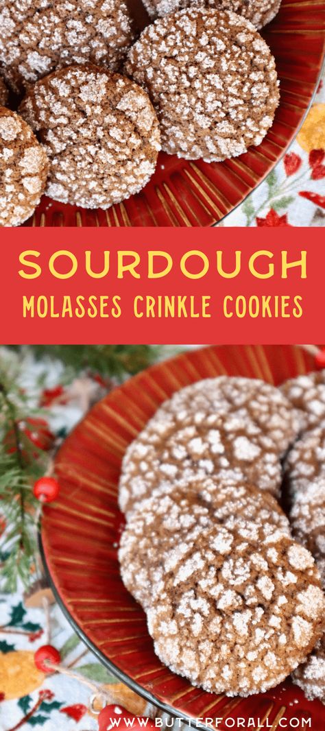 Sourdough Ginger Molasses Cookies, Long Fermented Sourdough Cookies, Sourdough Molasses Cookies, Sourdough Cookie Recipe, Sourdough Gingerbread Cookies, Sourdough Christmas Recipes, Sourdough Christmas, Christmas Sourdough, Cookies Sourdough