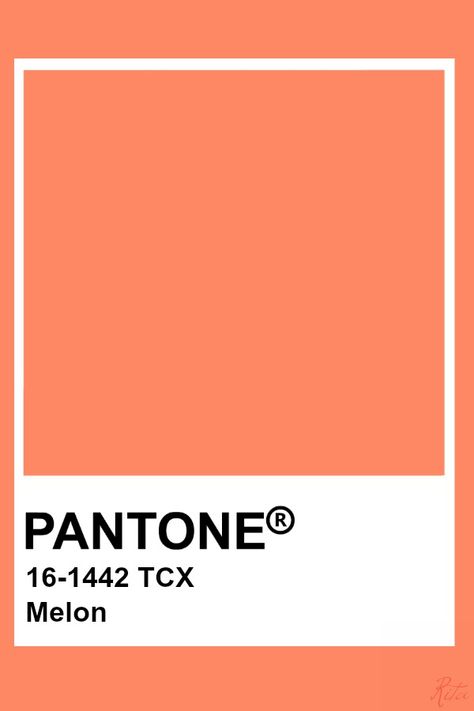 Pantone Melon Red Coral Aesthetic, Coral Aesthetic, Coral Color Palette, Pantone Orange, Coral Pantone, Pantone Tcx, Coral Red Color, Persimmon Color, Pantone Color Chart