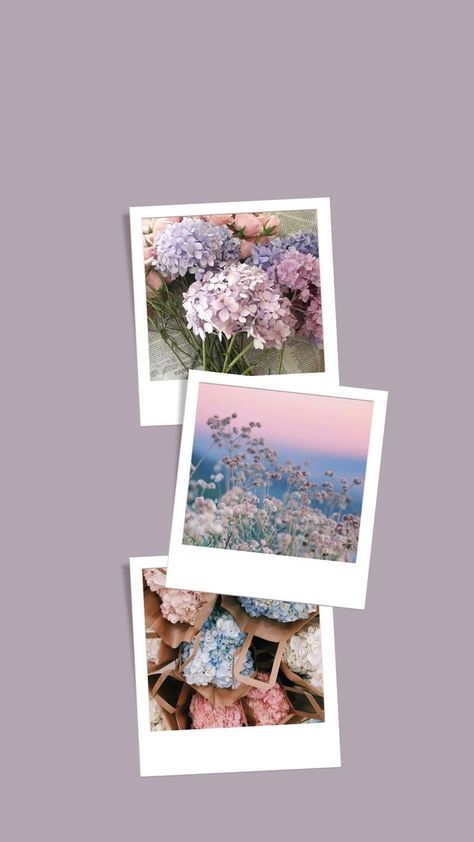 🩷✨️ Purple Floral Wallpaper, Floral Phone Wallpaper, Pastel Background Wallpapers, Glitter Phone Wallpaper, Purple Flowers Wallpaper, Pretty Wallpapers Tumblr, Flowery Wallpaper, Wallpaper Doodle, Cute Tumblr Wallpaper