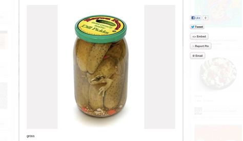 A frog in a pickle jar. | The 23 Grossest Things You'll Find On Pinterest Funny Food Pictures, Zoroark Pokemon, Pickle Jar, Frog Pictures, Creepy Images, Funny Frogs, Pickle Jars, Weird Food, Dill Pickle