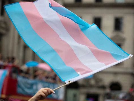 At least 18 transgender people have been killed this year in what experts are calling an 'epidemic' Transgender Day Of Visibility, Parental Rights, Trans Rights, School Board, Gender Identity, Livingston, What’s Going On, Idaho, Arkansas