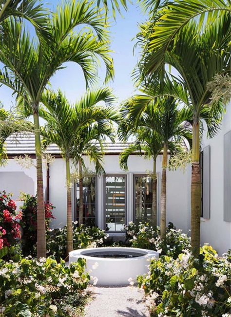 Chic riverfront residence in Florida surrounded by tropical landscaping #riverfronthomes Palm Tree Decorations, Plan Architecture, Tree Plan, Tropical Backyard, Front Courtyard, Tropical Landscape, Landscape Design Plans, Palm Beach Gardens, Backyard Garden Design