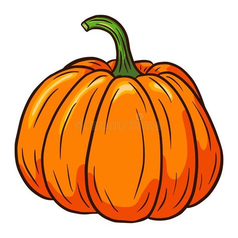 Sugar Pumpkin vector Illustration. Autumn Food Icon. Ripe squash sketch. Element for autumn decorative design, halloween royalty free stock images Pumpkin Vector Illustration, Squash Drawing, Pumpkin Illustration Autumn, Heidi Book, Ghost Paintings, Illustration Autumn, Autumn Food, Fall Classroom Decorations, Fall Classroom