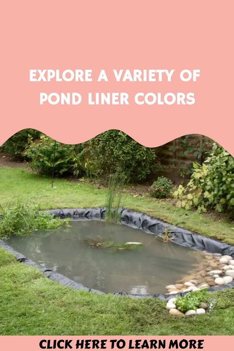 Ever wondered how to bring out the best of your koi pond? Dive deep into the impact of your pond's liner on its overall aesthetic and the water quality. Discover the perfect liner that complements your koi's colors while providing the ideal living conditions. CLICK HERE TO READ MORE! Aesthetic Pond, Preformed Pond Liner, Preformed Pond, Diy Pond, Pond Liner, Natural Pond, Duck Pond, Diy Pool, Small Ponds