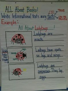 lucy calkins informational writing first grade - Google Search Informational Books, Writing Informational Text, Writers Workshop Kindergarten, Lucy Calkins Writing, Bee Project, All About Books, Informative Writing, Kindergarten Anchor Charts, Interactive Writing