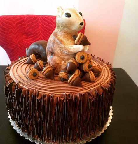 50 Squirrel Cake Design (Cake Idea) - March 2020 Chipmunk Birthday Party Ideas, Squirrel Birthday Party Ideas, Squirrel Themed Birthday Party, Squirrel Birthday Party, Squirrel Cake Ideas, Squirrel Cake Topper, Birthday Squirrel, Squirrel Party, Squirrel Birthday