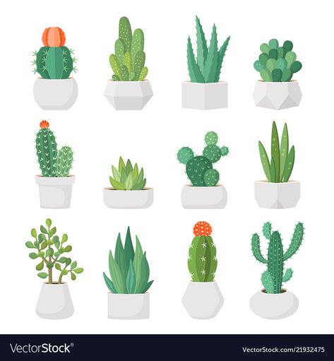 Cartoon cactus and succulents in pots set Vector Image Succulents In Pots, Cactus Background, Succulents Wallpaper, Cactus Cartoon, Succulents Drawing, Cactus Wallpaper, Cactus Backgrounds, Cartoon Cactus, Cactus Paintings