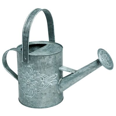 SMALL VINTAGE STYLE ZINC WATERING CAN Small Watering Can, Metal Watering Can, London Gifts, Watering Cans, Iron Plant, Milk Cans, Green Copper, Vase Design, Small Plants