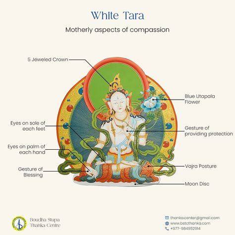 White Tara, embodiment of purity and compassion, illuminates the path with her gentle wisdom and boundless love. 💖 White Tara, also known as "Saptalocana" for her seven eyes - one on her forehead, two regular eyes, two on each palm of her hand and two on the sole of each foot - holds profound significance in Buddhism. Revered as the epitome of compassion and purity, she symbolizes maternal love and healing. With her compassionate gaze, she perceives the suffering of all beings, offering guid... Tara Goddess, Buddhist Mantra, Love And Healing, White Tara, Buddhist Symbols, Eagle Pictures, Buddha Art Painting, Buddhist Traditions, Thangka Painting