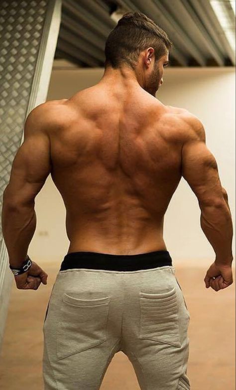 Man Forearm Reference, Mens Back Reference, Male Back Muscles Reference, Male Hips Reference, Men’s Back, Men Back Muscles, Back Muscle Reference, Male Abs Reference, Muscles Side View