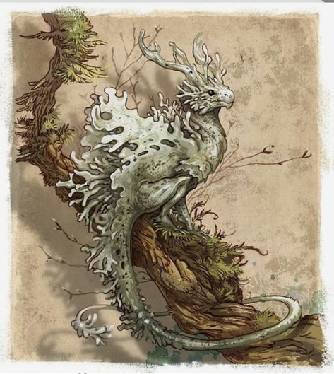 Dnd Animals Art, Fantasy Dragon Concept Art, Lichen Tattoo, Fantasy Dragon Illustration, Fantasy Creature Concept Art, Dragon Illustration Art, Cute Dragon Art, Lichen Art, Creatures Art