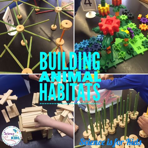 Do your students love learning about animals? In this lesson they build animal habitats with STEM Toys! Learn how to do this lesson in your classroom. Animals Stem Activities, Habitat Activities, Habitats Projects, Used Legos, Animal Adaptations, Nature School, Animal Science, Kindergarten Science, Stem Challenges