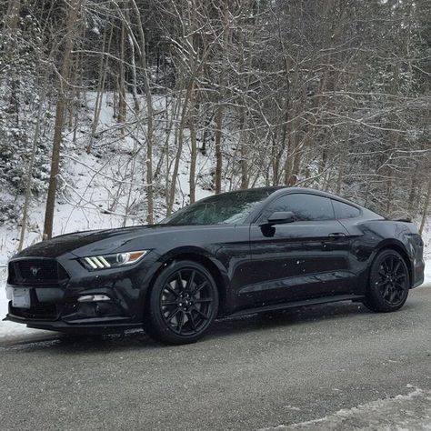 Black Mustang Gt, 2016 Mustang Gt, 2016 Mustang, Mustang Gt Premium, Black Mustang, Small Luxury Cars, New Mustang, Ford Mustang Car, Classic Mustang