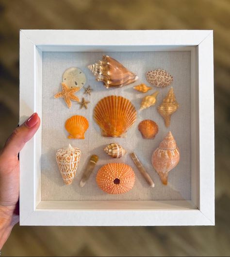 Enhance your home with the vibrant beauty of the sea with my handcrafted Seashell Wall Art. This 8x8 seashell shadow box showcases an exquisite array of orange seashells, true tulips, alphabet cones, sea urchins, starfish, calico crab back, and sand dollars, all meticulously arranged to create a captivating coastal decor piece. Each shell in this unique collection has been handpicked from my personal collection, with many treasures discovered throughout the Ten Thousand Islands. This personal touch ensures that every piece is one-of-a-kind, filled with the charm and wonder of the ocean. The seashells are artfully displayed in a high-quality shadow box, making this a perfect addition to any beach-themed or coastal decor. Whether you're looking to add a splash of color to your living room, b How To Display Shells, Calico Crab, Things To Do With Sea Shells, Orange Seashells, Seashell Shadow Boxes, Shell Display, Seashell Wall Art, Sea Urchins, Sand Dollars