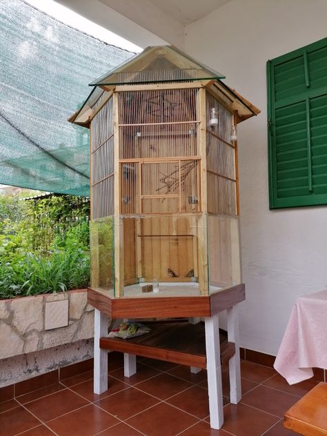 Big Bird Cage, Large Bird Cages, Bird Cages, Big Bird, Projects Ideas, Bird Cage, Wood Projects, Birds, House Styles