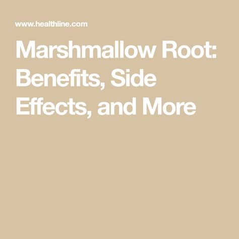 Benefits Of Marshmallow Root, Marshmallow Herb Benefits, Marshmallow Root Tea Benefits, Marshmallow Benefits, Marshmallow Root Benefits, Marshmallow Herb, Marshmallow Root Tea, Marshmallow Root Powder, Wild Crafting