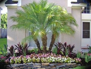 Landscape Gallery - Orlando - by Prograde Landscaping | Houzz Yard Entrance, Tropical Backyard Landscaping, Palm Trees Landscaping, Florida Landscaping, Tropical Garden Design, Landscape Beach, Tropical Backyard, Florida Gardening, Front Yard Garden Design