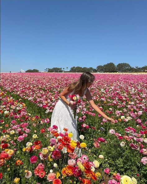 Planting Flowers Aesthetic, Wild Flower Field Aesthetic, Flower Farm Outfit, Flowers Vision Board, Wildflower Picking, Grace Reilly, Flower Field Photography, Vintage Diaries, Girl Picking Flowers