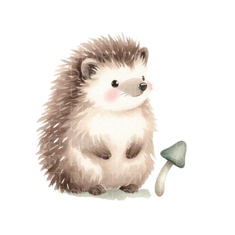 Watercolour Clipart, Hedgehog Drawing, Hedgehog Illustration, White Backgrounds, Decor Stickers, Watercolour Illustration, Cute Hedgehog, Design Paper, Watercolor Images