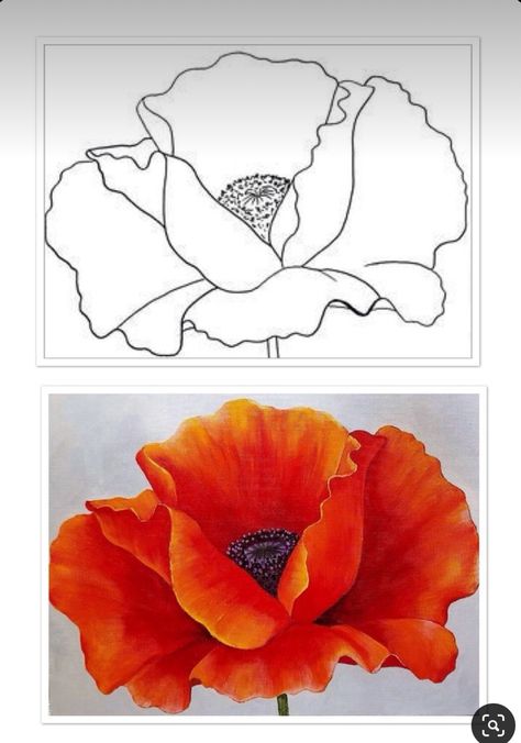 Poppie Flower Drawing, Poppies Flower Painting, Poppies Acrylic Painting, How To Draw Poppy Flowers, Poppy Flowers Paintings, How To Draw A Poppy Flower, Poppy Flower Painting Acrylics, Drawing Poppies, Watercolour Poppies