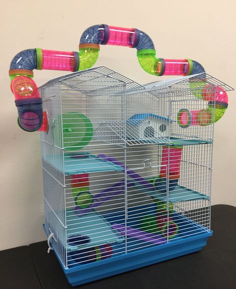 5 Level Large Cross Twin Towner Tube Tunnel Habitat Hamster Rodent Gerbil Mouse Mice Rat Cage Blue ** Go to the picture link more details. (This is an affiliate link). #smallanimalcage Hamster Tube, Diy Rabbit Cage, Mouse Cage, Hamster Life, Hamster Habitat, Animal Cage, Baby Hamster, Rat Cage, Hamster Cages