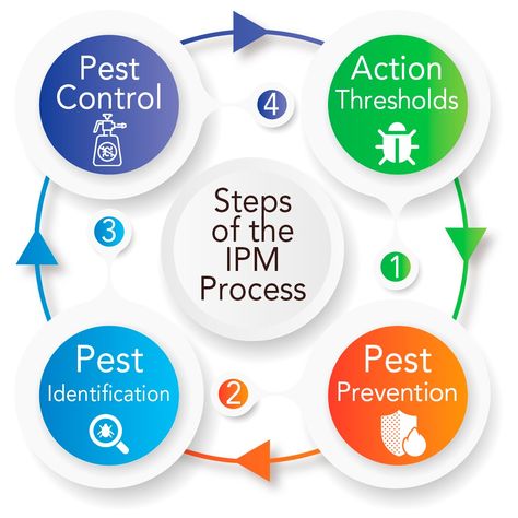 While pest control is important in your home, garden, and lawn, it is also important that it is approached in the correct manner. A lack of research into how each type of pest interacts with the environment can lead to damaged crops, property, and people. Integrated Pest Management, also called IPM, is a methodical, environmentally-considerate approach to pest control.  Why is IPM important?  Keep Reading Pest Control Template, Pest Control Funny, Integrated Pest Management Agriculture, Pest Control Company, Integrated Pest Management, Termite Control, Pest Management, Pest Control Services, Pest Control