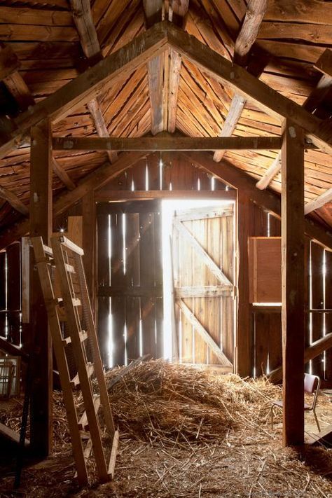 Old Barn Aesthetic, Barn Core, Barn Aesthetic, Working On A Farm, Cow Barn, Barn Interior, Farm Lifestyle, Last Ride, Farm Barn