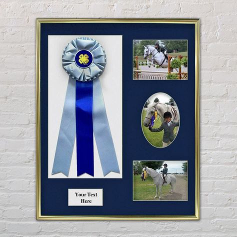 Ribbon Display Box and Three 5x7 Photos - Etsy Award Ribbon Display, Show Ribbon Display, Horse Show Ribbons, Horse Ribbons, Puppy Room, Ribbon Display, Ribbon Wall, Award Ribbon, Equestrian Decor