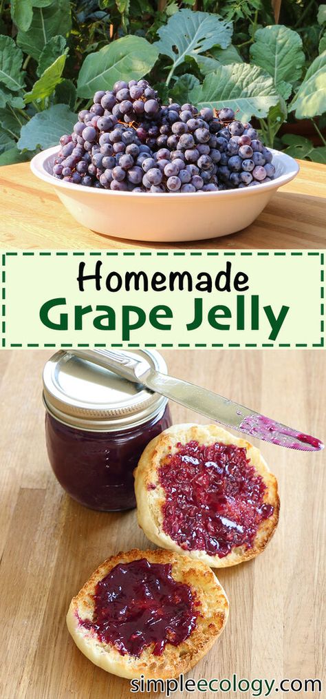 Concord Grape Recipes, Grape Jam Recipe, Homemade Grape Jelly, Concord Grape Jelly, Peanut Butter Jelly Sandwich, Concord Grapes, Grape Jam, Home Canning Recipes, Jam Recipes Homemade