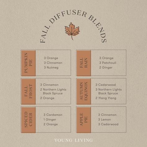 Young Living Education on Instagram: “Enhance your home with cozy scents during the fall season. Whether you want your space to smell like the crisp fall air or a yummy pie,…” Rain Diffuser Blend, Rain Diffuser, Essential Oil Bug Spray, Yummy Pie, Fall Rain, Living Oils Recipes, Fall Diffuser Blends, Doterra Diffuser Blends, Essential Oil Combinations