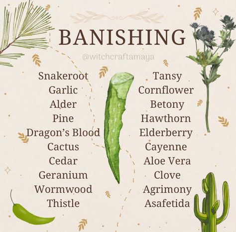 Herbs For Banishing, Spiritual Herbs, Dark Goddesses, Banishing Herbs, Witchy Mom, Samhain Festival, Witchcraft Stuff, Herbal Witch, Magic Energy