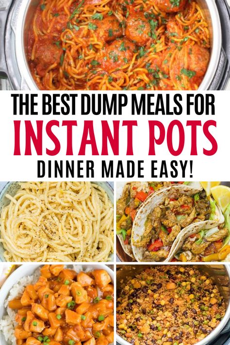 Dump Meals Instant Pot, Instant Pot Dump Meals, Instant Pot Dump Recipes, Instant Pot Dump, Instant Pot Dinner, Dump Recipes, New Chicken Recipes, Family Dishes, Dump Meals