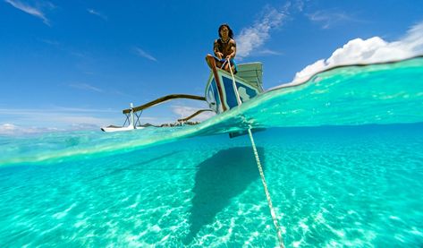 Half Underwater, Animals Africa, Fiji Beach, Water Images, Wolf Photography, Turquoise Ocean, Water Drawing, Photography Awards, French Polynesia