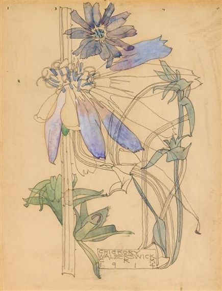 Artwork by Charles Rennie Mackintosh, Chickory, Made of pencil and watercolour Charles Mackintosh, Botanisk Illustration, Charles Rennie Mackintosh, Rennie Mackintosh, Glasgow School Of Art, Illustration Botanique, Scottish Art, Art Aquarelle, Botanical Painting