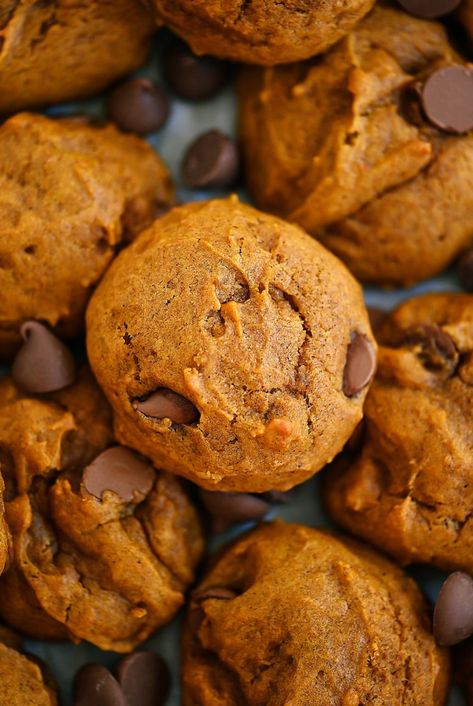 Pumpkin Chocolate Chip Cookies - Life In The Lofthouse Best Soft Pumpkin Chocolate Chip Cookies, Harmons Pumpkin Chocolate Chip Cookies, Soft Pumpkin Chocolate Chip Cookies, Life In The Lofthouse, Pumpkin Fritters, Nestle Toll House, Pumpkin Chocolate Chip, Pumpkin Chocolate Chip Cookies, Pumpkin Chocolate Chips