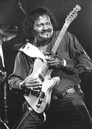 Albert Collins, Rock Guitarist, Blues Musicians, Jazz Artists, Blues Artists, Modern Music, Recorder Music, Music Composition, Blues Guitar