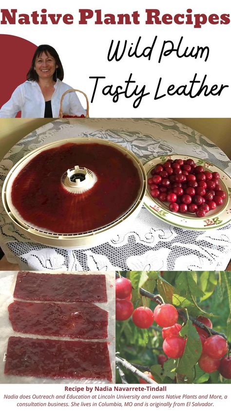 Plum Recipes Canning, Wild Plum Jelly Recipe, Fruit Leather Recipe Dehydrator, Fruit Leather Dehydrator, Plant Recipes, Plum Preserves, Plum Juice, Fruit Leather Recipe, Wild Plum