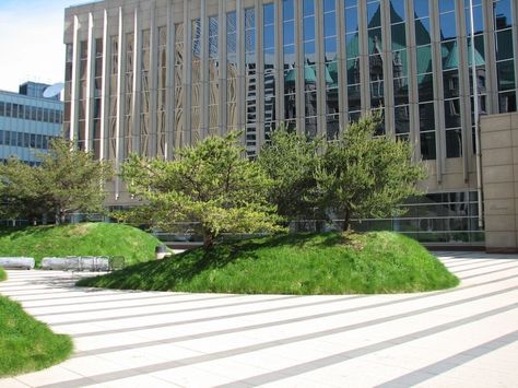 Martha Schwartz, Minneapolis.  Japanese / Modern mounds with grass and specimen trees Martha Schwartz, Landform, Landscaping Retaining Walls, Specimen Trees, Landscape Concept, Landscape Architecture Design, Retaining Walls, Modern Urban, Cool Landscapes