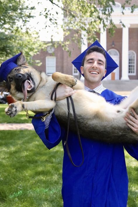 Dog and owner graduating together Graduation Picture Poses, Really Cute Dogs, Good And Bad, Grad Pics, Dog Id Tags, German Shepherd Puppies, German Shepherds, Pet Id Tags, Bad Timing