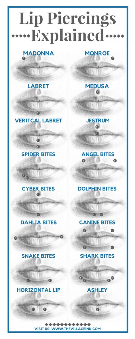 Lip Piercings Explained Infographic Piercing No Rosto, Dahlia Piercing, Spiderbite Piercings, Microdermal Piercing, Piercing Face, Piercing Bouche, Piercing Girl, Spider Bite Piercing, Piercing Chart