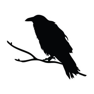 Small Black Silhouette Tattoo, Crow Sillouhette, Simple Raven Tattoo, Small Crow Tattoo, Black Crow Tattoos, Raven Silhouette, Crow Logo, Crow Pictures, Rabe Tattoo