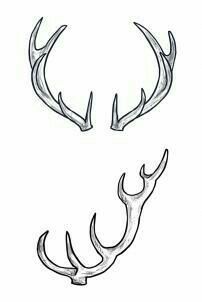 Deer Antler Drawing, Deer Antlers Drawing, How To Draw Deer, Draw Deer, Antler Drawing, Antlers Drawing, Antler Tattoos, Antler Tattoo, Deer Drawing